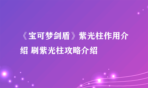 《宝可梦剑盾》紫光柱作用介绍 刷紫光柱攻略介绍