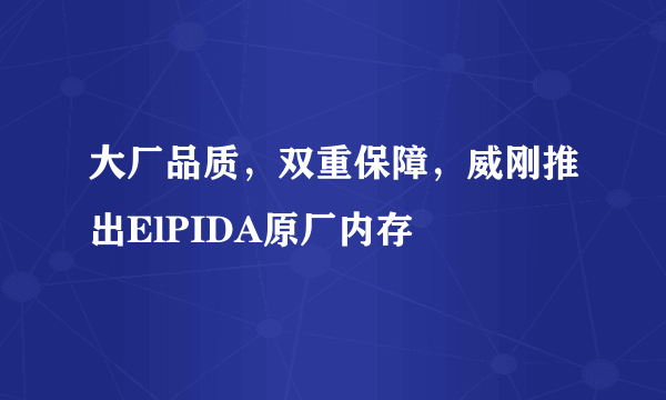 大厂品质，双重保障，威刚推出ElPIDA原厂内存