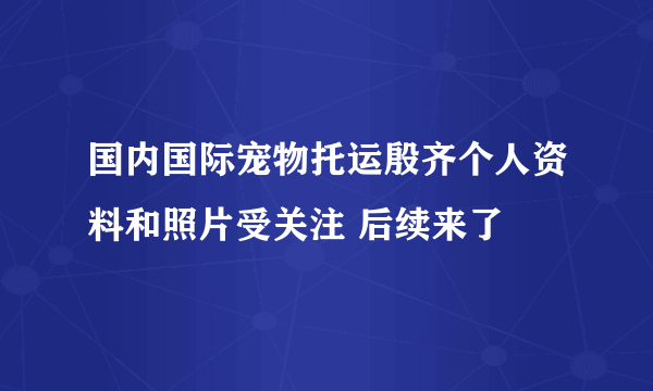 国内国际宠物托运殷齐个人资料和照片受关注 后续来了