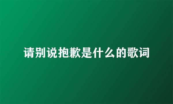 请别说抱歉是什么的歌词