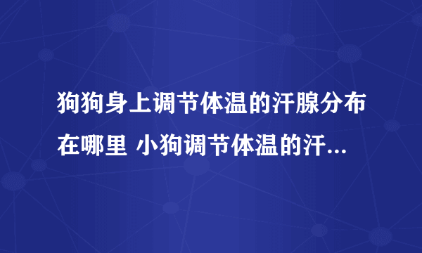 狗狗身上调节体温的汗腺分布在哪里 小狗调节体温的汗腺在身上哪个部位