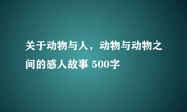 关于动物与人，动物与动物之间的感人故事 500字