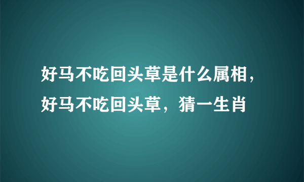 好马不吃回头草是什么属相，好马不吃回头草，猜一生肖