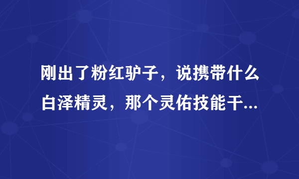 刚出了粉红驴子，说携带什么白泽精灵，那个灵佑技能干嘛用的，最多使用三次？