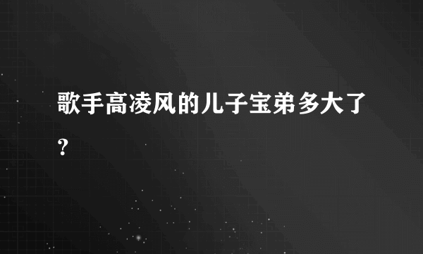 歌手高凌风的儿子宝弟多大了？