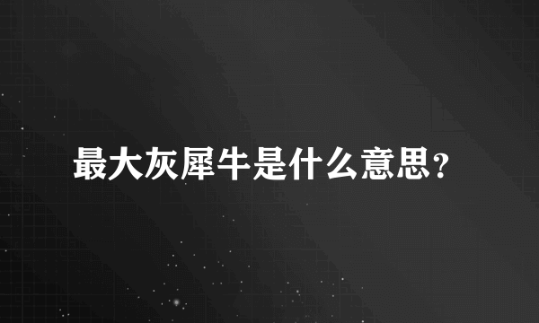 最大灰犀牛是什么意思？