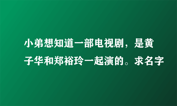 小弟想知道一部电视剧，是黄子华和郑裕玲一起演的。求名字