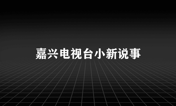 嘉兴电视台小新说事