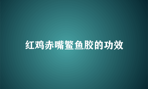 红鸡赤嘴鳘鱼胶的功效