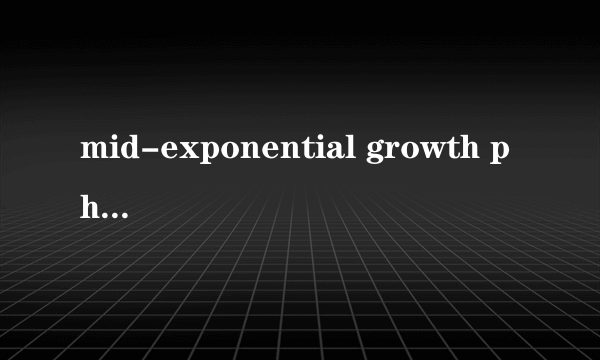 mid-exponential growth phase是什么意思