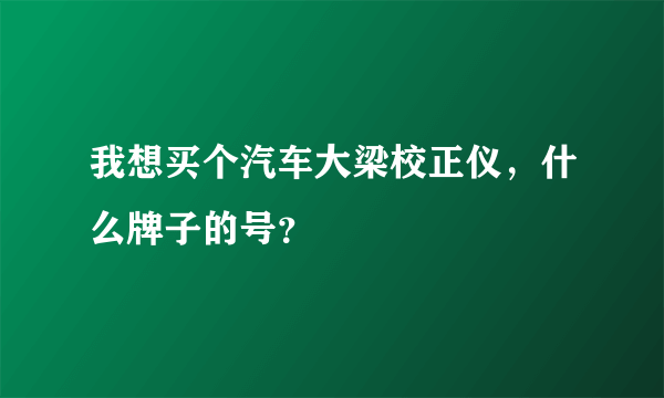 我想买个汽车大梁校正仪，什么牌子的号？