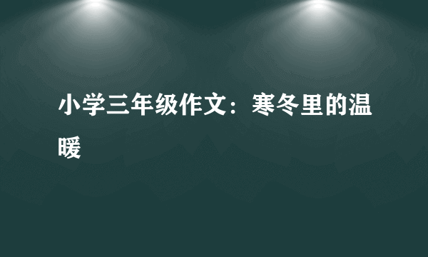 小学三年级作文：寒冬里的温暖