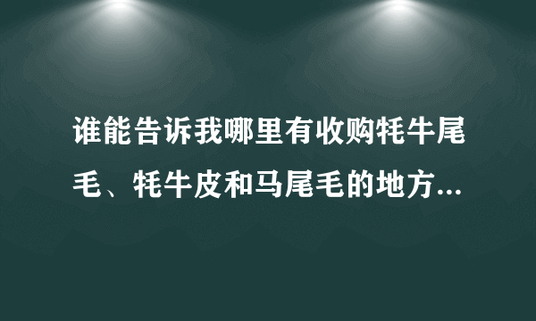 谁能告诉我哪里有收购牦牛尾毛、牦牛皮和马尾毛的地方，我有货