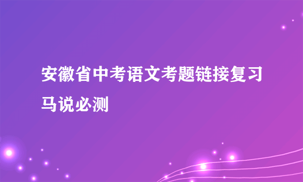 安徽省中考语文考题链接复习马说必测