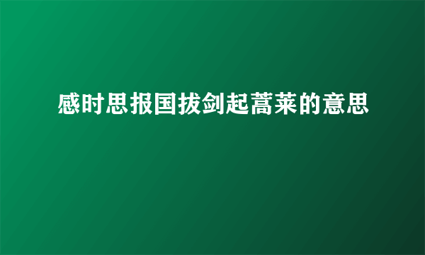 感时思报国拔剑起蒿莱的意思