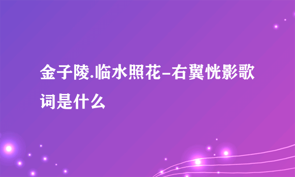 金子陵.临水照花-右翼恍影歌词是什么