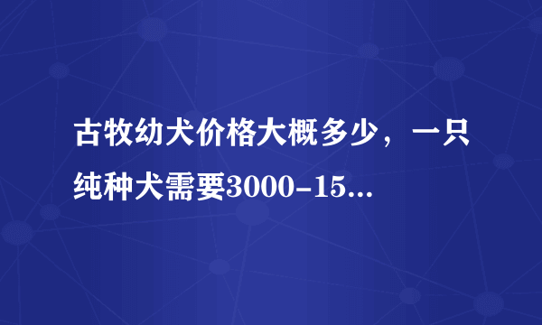 古牧幼犬价格大概多少，一只纯种犬需要3000-15000元