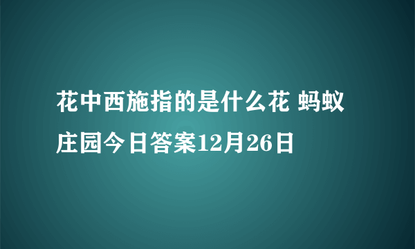 花中西施指的是什么花 蚂蚁庄园今日答案12月26日