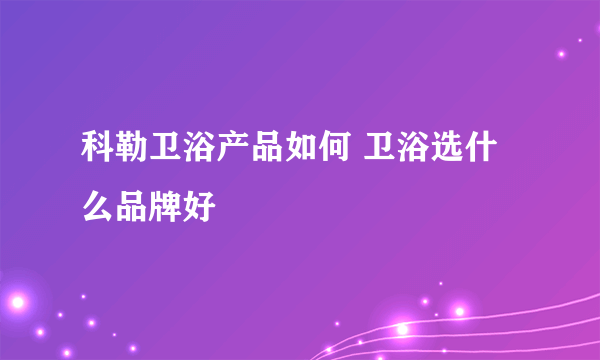 科勒卫浴产品如何 卫浴选什么品牌好