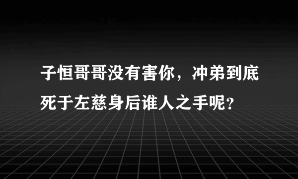 子恒哥哥没有害你，冲弟到底死于左慈身后谁人之手呢？