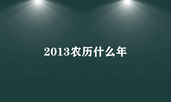 2013农历什么年