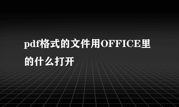 pdf格式的文件用OFFICE里的什么打开