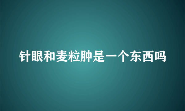 针眼和麦粒肿是一个东西吗