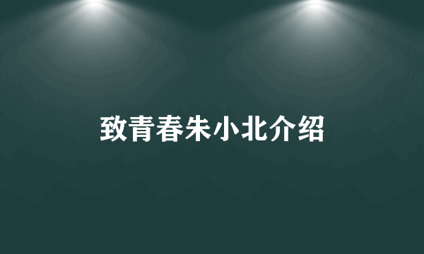 致青春朱小北介绍