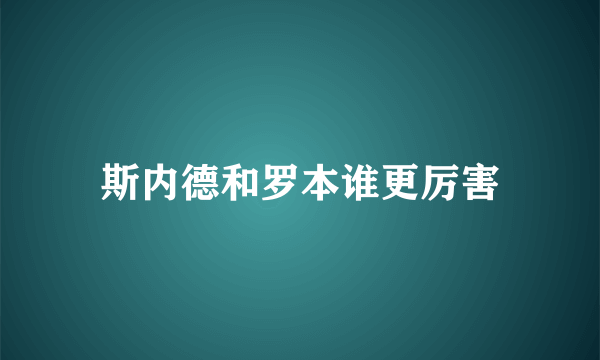 斯内德和罗本谁更厉害