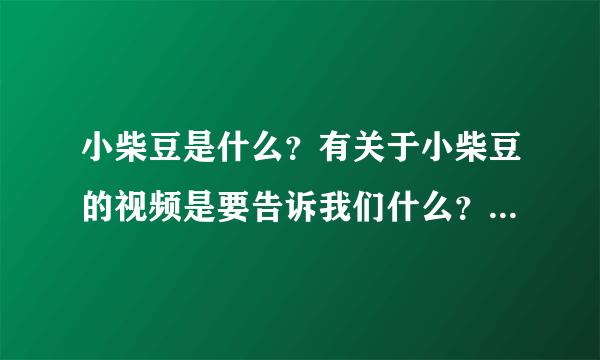 小柴豆是什么？有关于小柴豆的视频是要告诉我们什么？有什么深意？