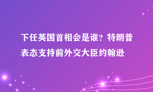 下任英国首相会是谁？特朗普表态支持前外交大臣约翰逊