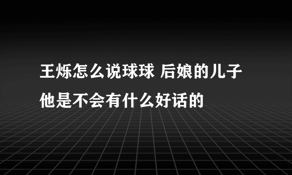 王烁怎么说球球 后娘的儿子他是不会有什么好话的