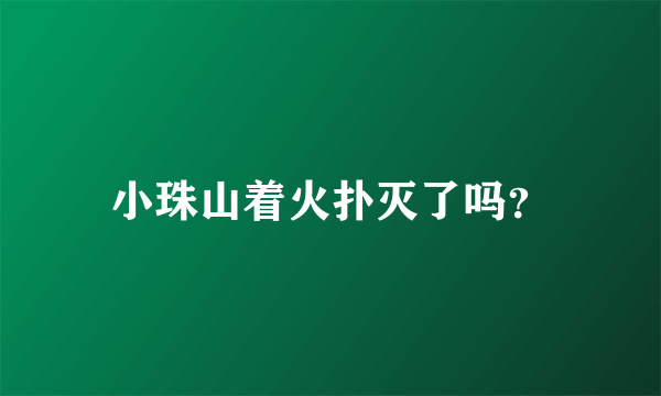 小珠山着火扑灭了吗？