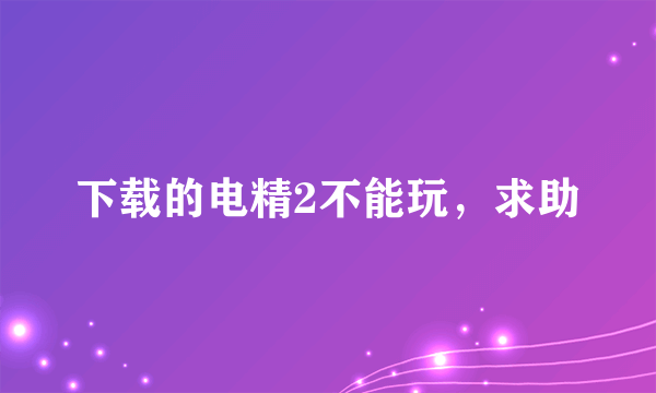 下载的电精2不能玩，求助