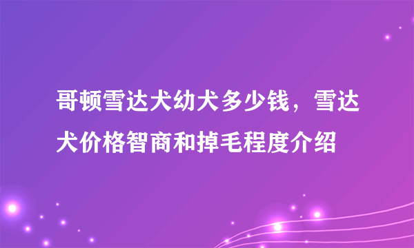 哥顿雪达犬幼犬多少钱，雪达犬价格智商和掉毛程度介绍