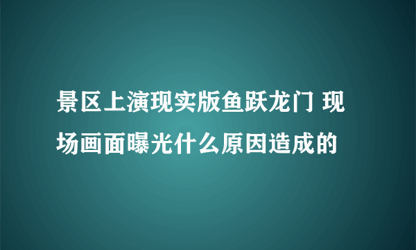 景区上演现实版鱼跃龙门 现场画面曝光什么原因造成的