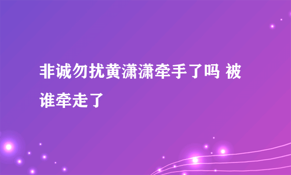 非诚勿扰黄潇潇牵手了吗 被谁牵走了