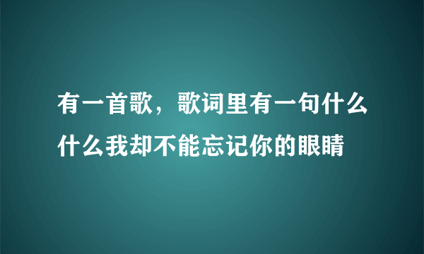 有一首歌，歌词里有一句什么什么我却不能忘记你的眼睛