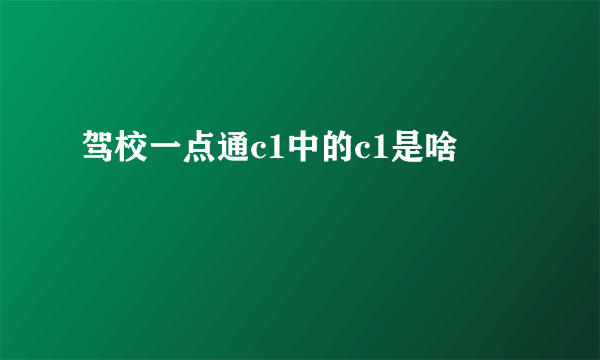 驾校一点通c1中的c1是啥