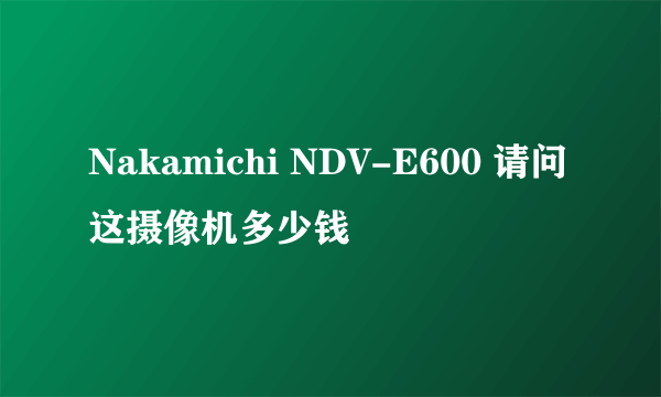 Nakamichi NDV-E600 请问这摄像机多少钱