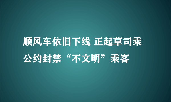 顺风车依旧下线 正起草司乘公约封禁“不文明”乘客