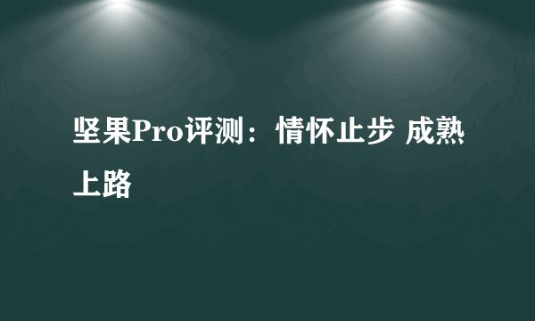 坚果Pro评测：情怀止步 成熟上路