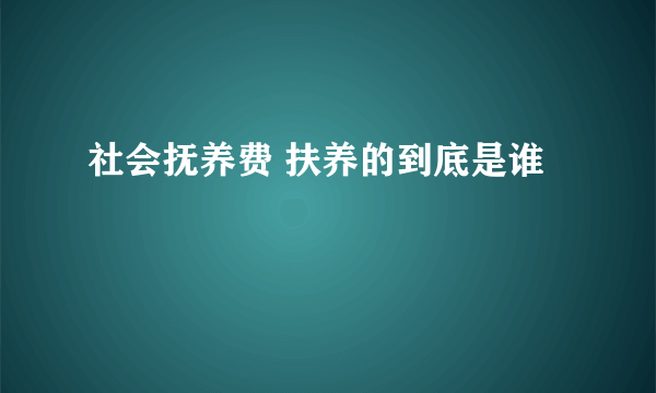 社会抚养费 扶养的到底是谁