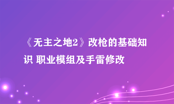 《无主之地2》改枪的基础知识 职业模组及手雷修改