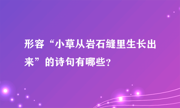 形容“小草从岩石缝里生长出来”的诗句有哪些？