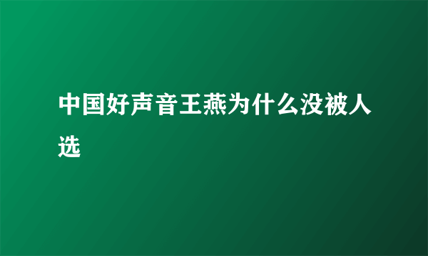 中国好声音王燕为什么没被人选