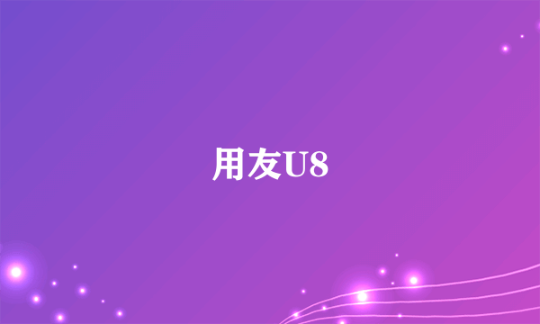 用友U8