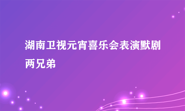 湖南卫视元宵喜乐会表演默剧两兄弟