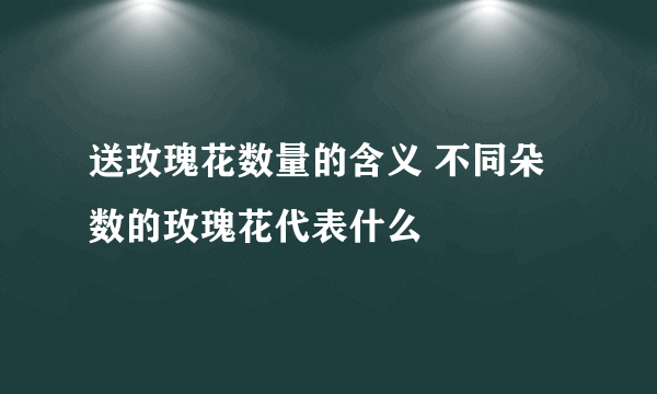 送玫瑰花数量的含义 不同朵数的玫瑰花代表什么