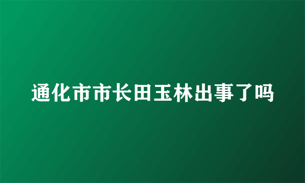 通化市市长田玉林出事了吗